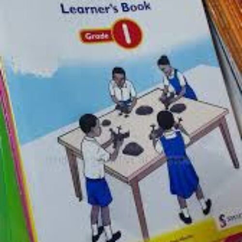 Spotlight Environmental Activities Learner’s Book Grade 1