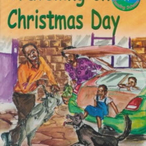 Travelling on Christmas Day 3a By EAEP
